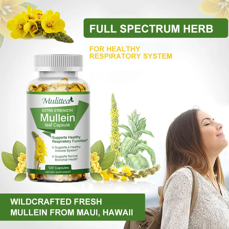 Mulittea Natural Mullein Leaf Capsules Herbal Supplement for Lung Cleanse Helps Healthy Respiratory Function & Mucous Membranes