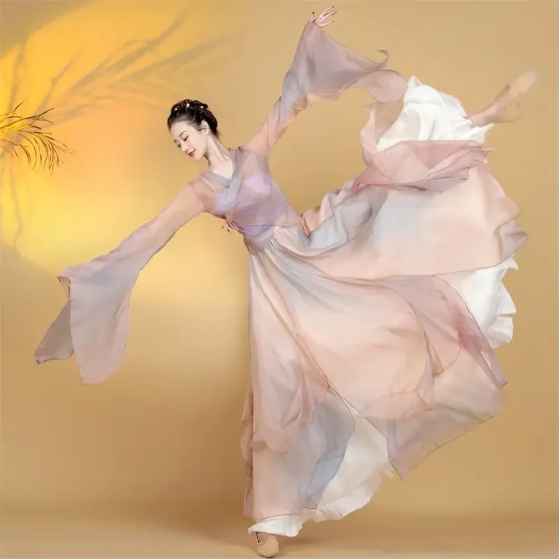 

Chinese Style Folk Dance Dress Classical Dancer Performance Costumes Elegant Practice Clothes Body Rhyme Chiffon Dnace Costume
