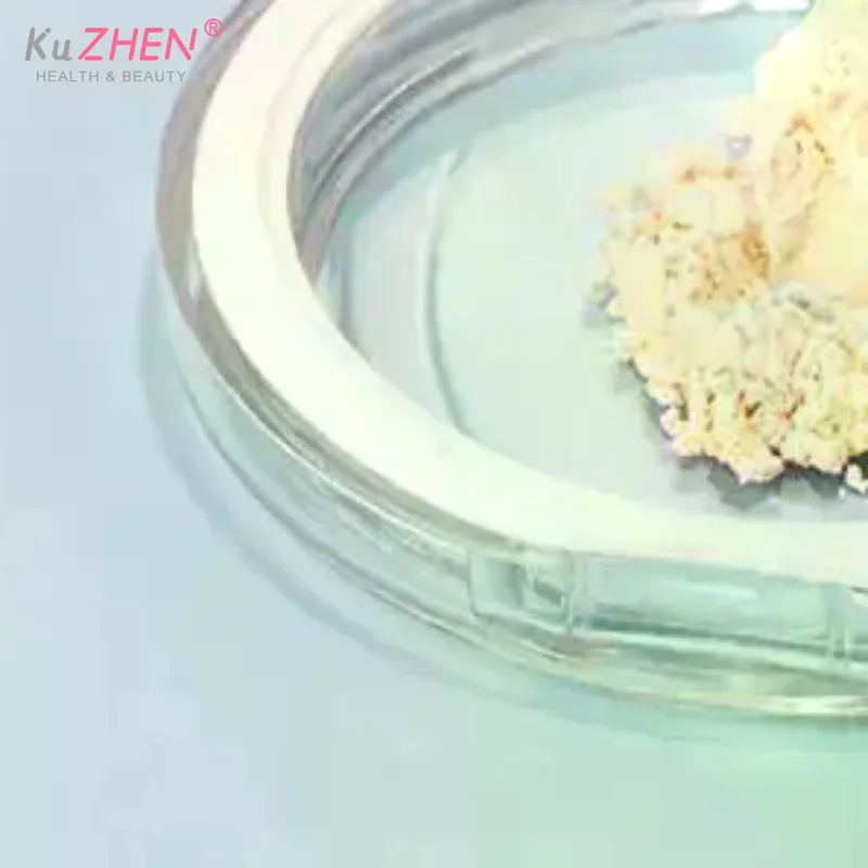 3g Travel Makeup Container Cosmetic Sifter Portable Plastic Powder Box Empty Loose Powder Pot With Mirror Loose Jar