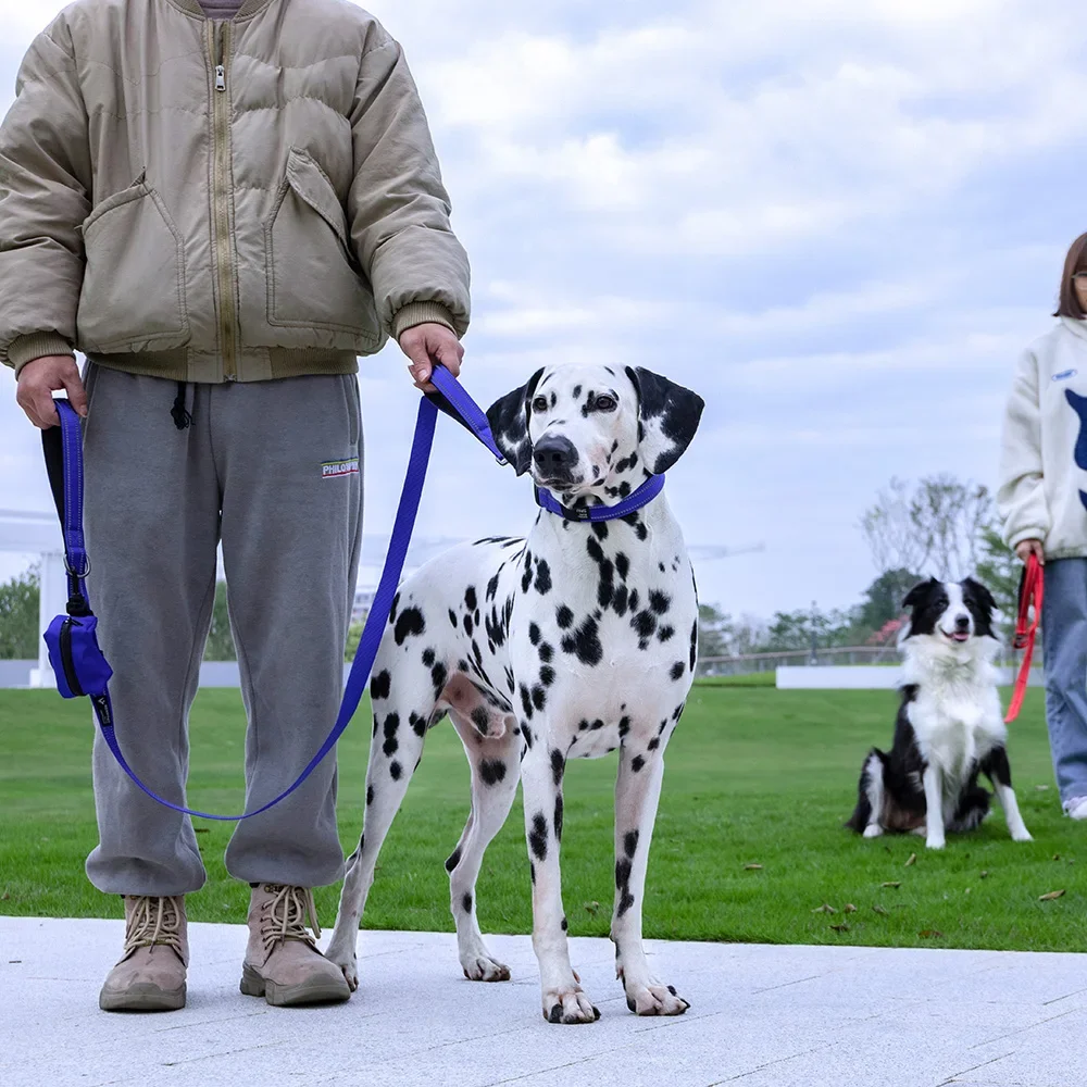 Guinzaglio per animali domestici con sacchetto per alimenti Corda di trazione per passeggiate per cani Guinzaglio elastico per animali domestici a