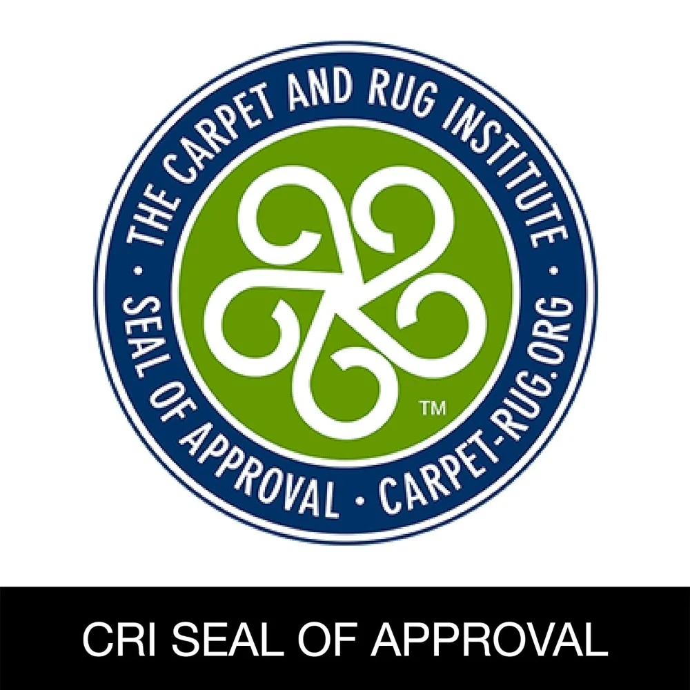 Force Upright Commercial Vacuum SC5845D,Black