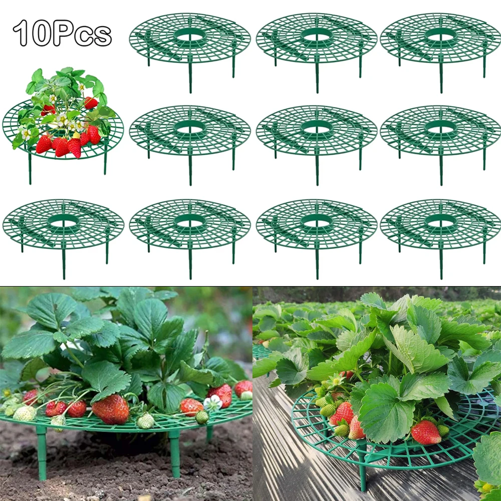 

10 Pack Strawberry Plant Supports Strawberry Growing Racks with 4 Sturdy Legs Fruit Support Stand Holder for Garden Supplies