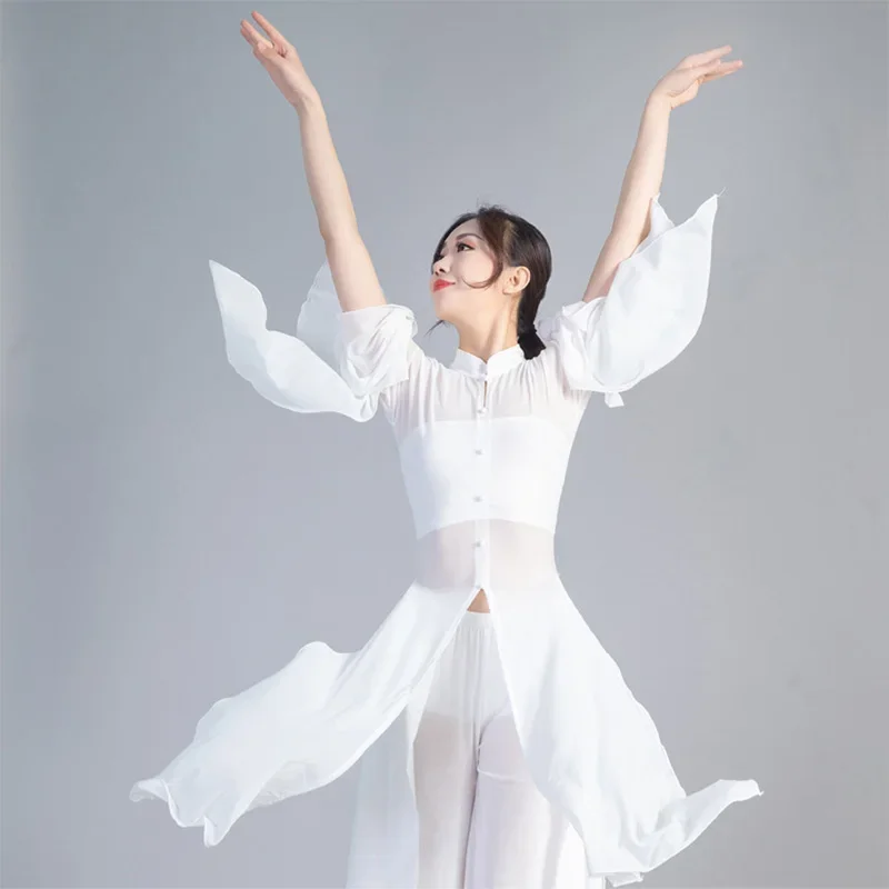 Vintage Oriental Belly Dance Dress Chinese Cheongsam Yarn Antiquity Classical Hanfu Uniforms Clothing Female Performance Costume