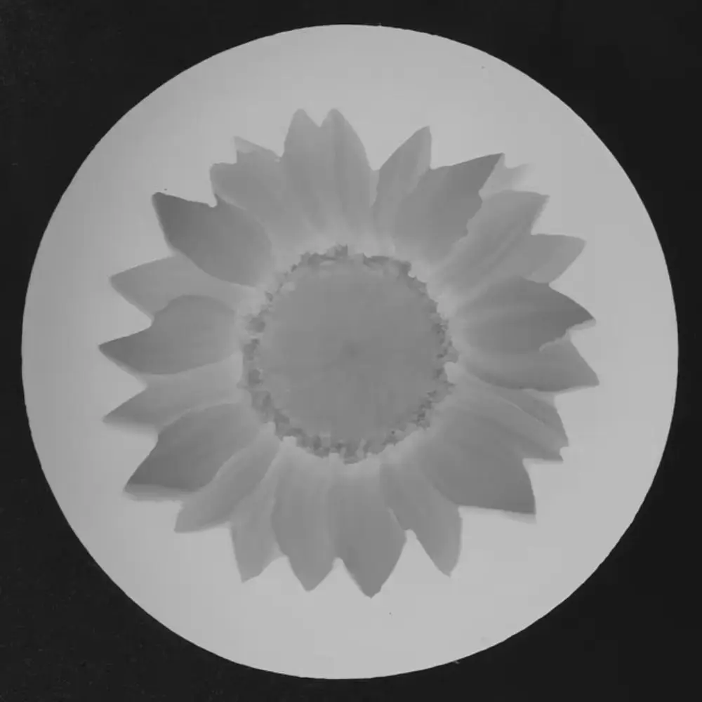 Portable 3D Sunflower Pendent Mold DIY Relief Candle Silicone Moulds Handmade Soap Molds Plaster Clay Resin Art Craft