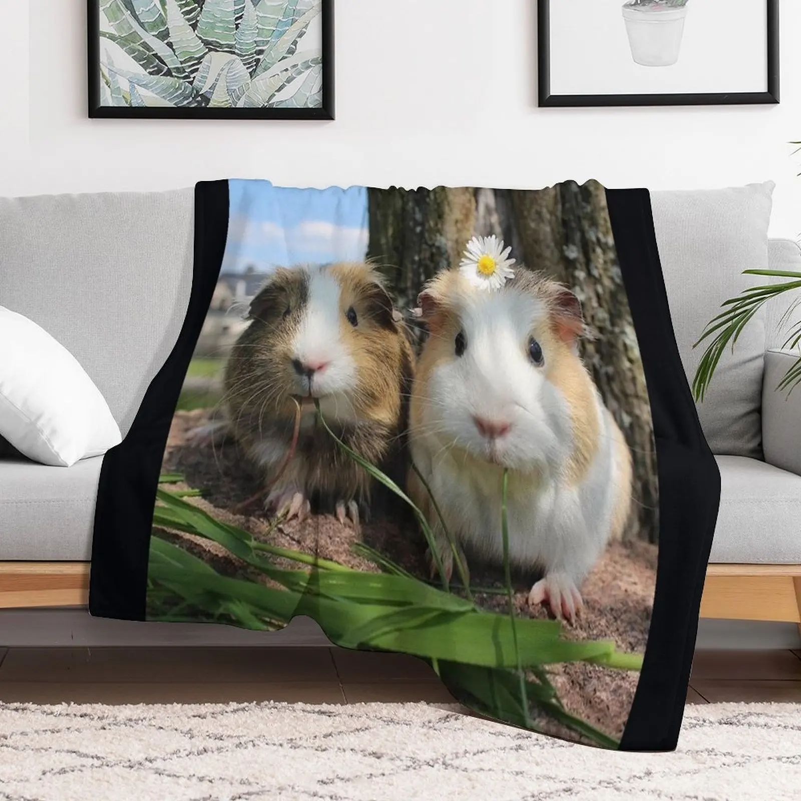 

Guinea Pig – Cavy Collection – Model 01 Throw Blanket Luxury Brand Camping Bed covers blankets and throws Blankets