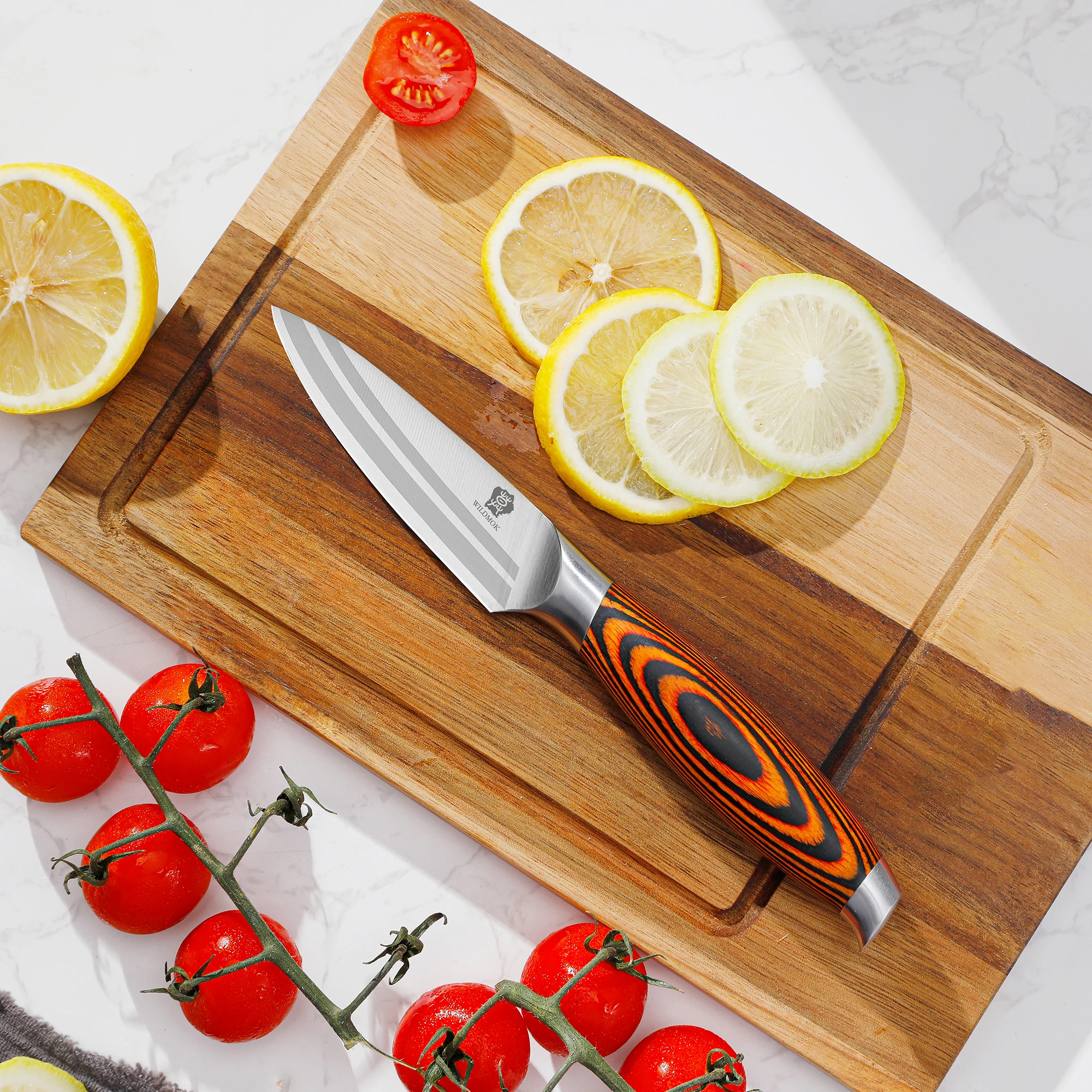 WILDMOK 3.5 Inch Fruit Knife German Stainless Steel Sharp Paring Knives with Ergonomic Pakkawood Handle