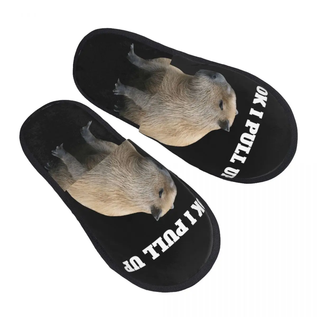 

Memory Foam Slippers Women Cozy Warm Animal Pet House Slippers