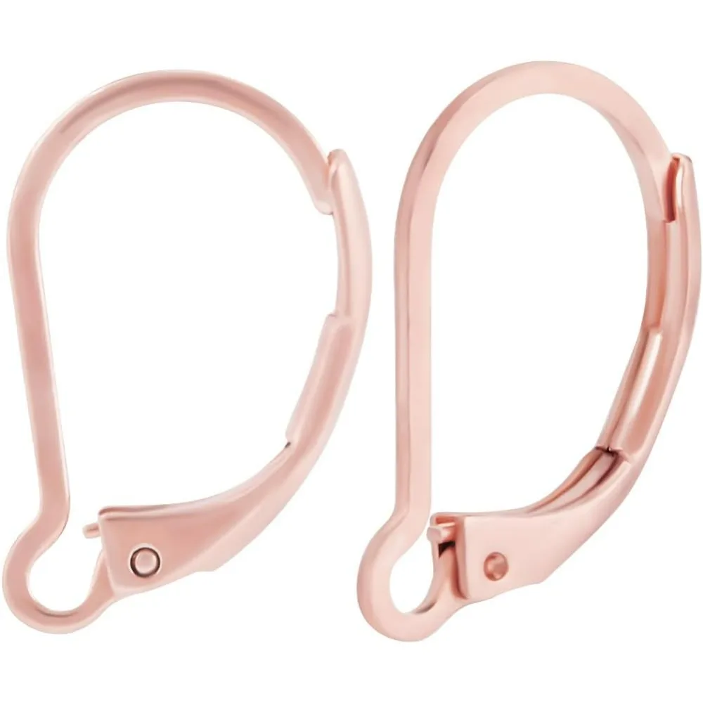 

1 Box 50Pcs French Earring Hooks 304 Stainless Steel Rose Hypoallergenic Dangle Leverback Earring Findings 16.5x10mm