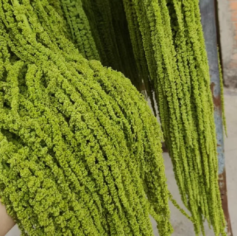 5 Stück Hochzeitsdekoration aus getrockneten und konservierten Blumen, hängende Reisblumen; echte Blumen für Hochzeits- und Feiertagsdekorationen. – Detail 5