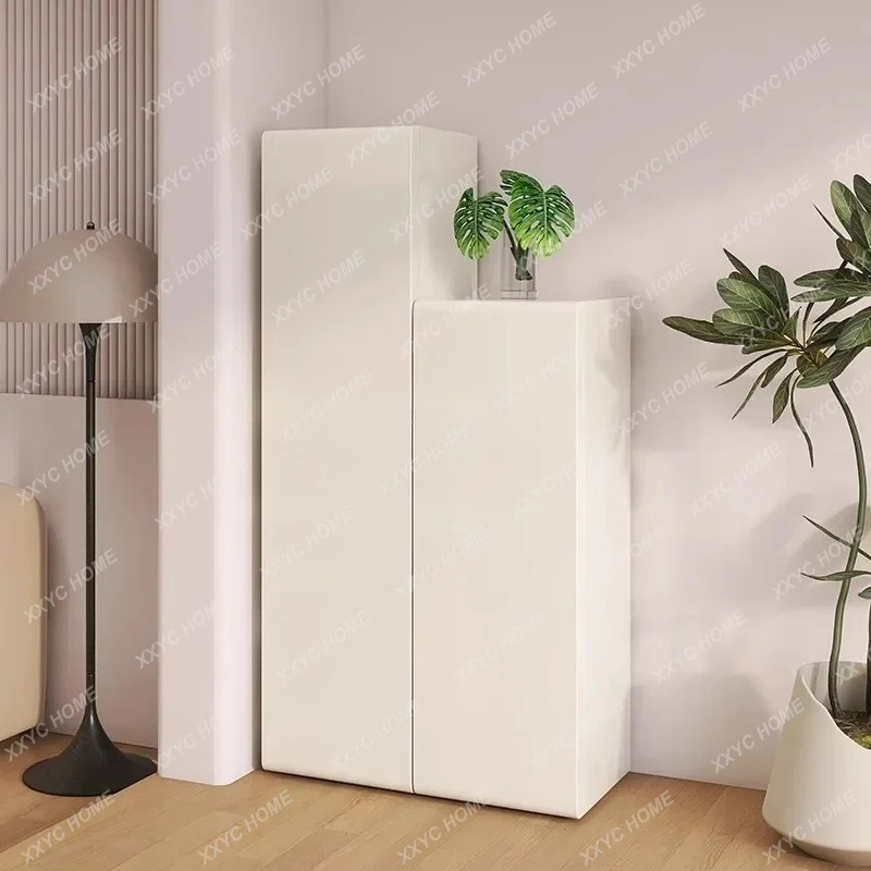 TY Household cleaning cabinet mop broom tool cleaning cabinet vacuum cleaner locker