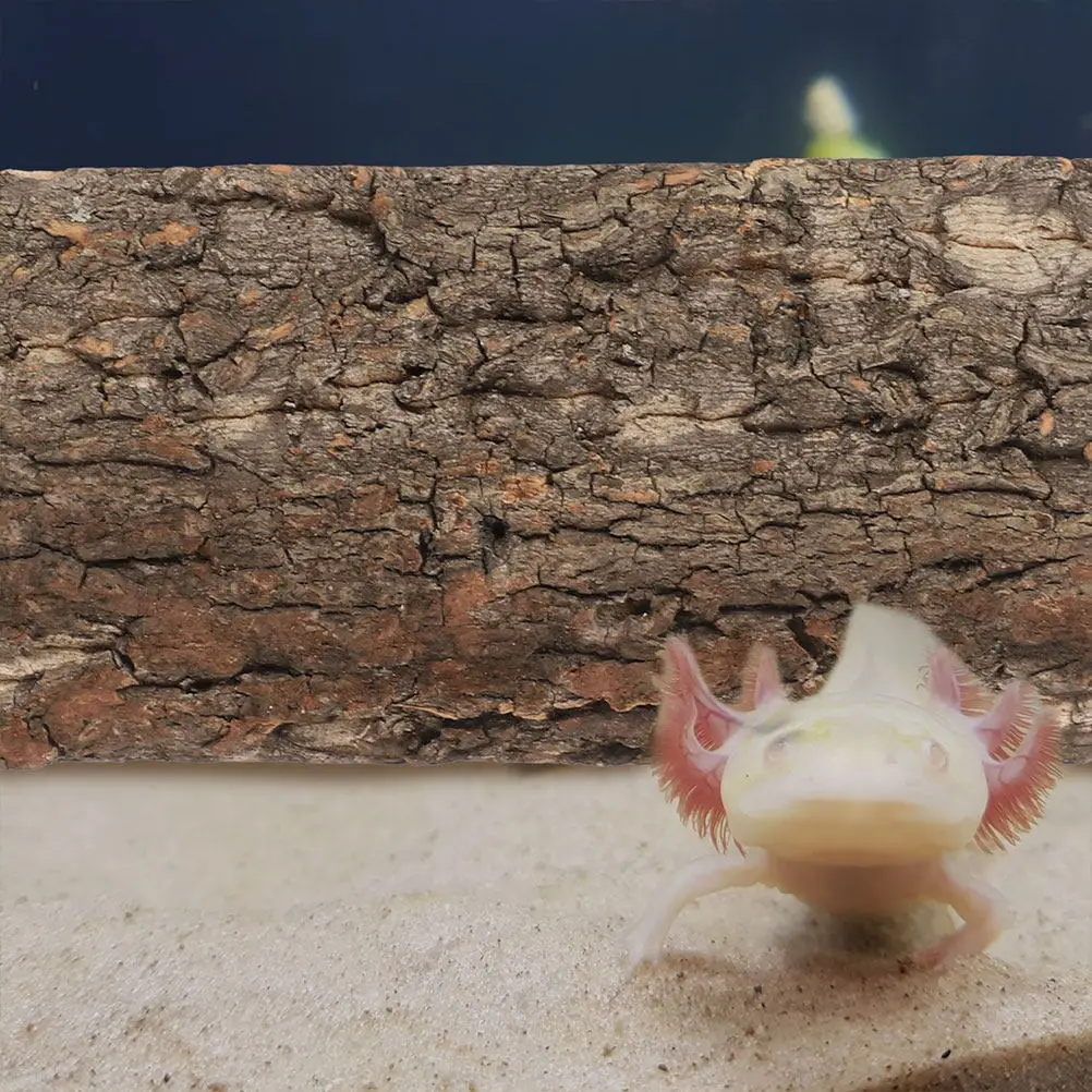 2 Stück Terrarium-Korkrinden-Dekoration, Reptilien-Terrarium-Dekorationen, Hintergrundrinden für Eidechsen und Schlangen, natürliche Kletterstruktur – Detail 5