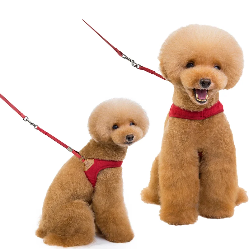 Harness And Leash Set For Small And Medium Dogs For Daily Walking_voghion.com