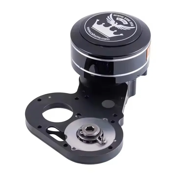 

BR Modification Club Electric Reverse Gear Suitable For HD 14-20 Year Gliding Avenue Street Glide 2024+