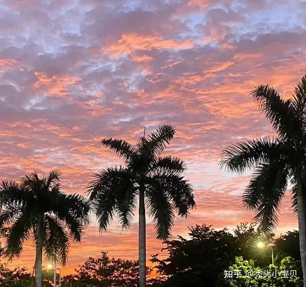 

3650 3300KV Brushless Motor for 1/10 Drift, Touring, Monster Truck, Buggy, SCT, Universal RC Models Upgrade Parts