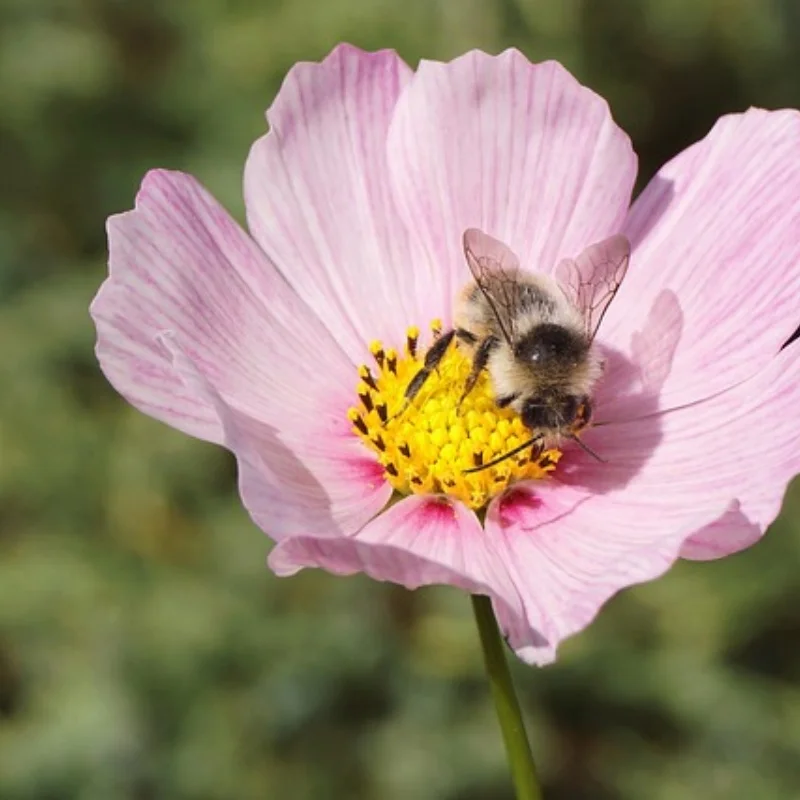 

Задняя крышка коробки передач для SCY 1/16, полная серия C8805, аксессуары, металлические детали для обновления, радиоуправляемая модель, гусеничный автомобиль, грузовик