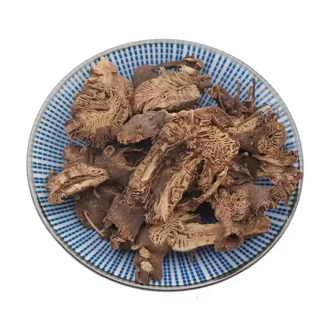 고품질 천연 Cimicifuga Racemosa 향 만들기 재료 아로마 테라피 요가 명상 상쾌한 공기 향수