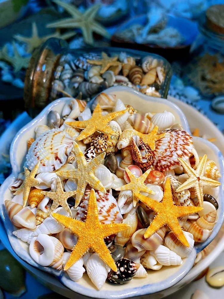 Six or seven kinds of ultra-small shell conch + starfish combination, about 400 pieces in a wishing bottle