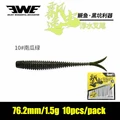 Elegant Worm-10