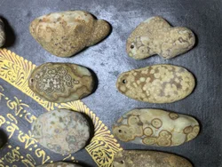 1pcs/lot Natural Gobi Agate Rough Multi-eye pattern Strong energy amulet Men's and women's World Treasure Collection Magical