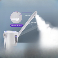 LED Mask Hot and Cold Sprayer Nano Ozone Hot Spray Instrument Face Steamer Blackhead Cleaner