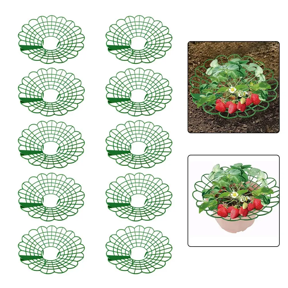 Lot de 5/10 supports ronds pour fraises, supports en plastique pour plantes, supports pour fraises, supports de culture de légumes, outils de jardinage pour balcon