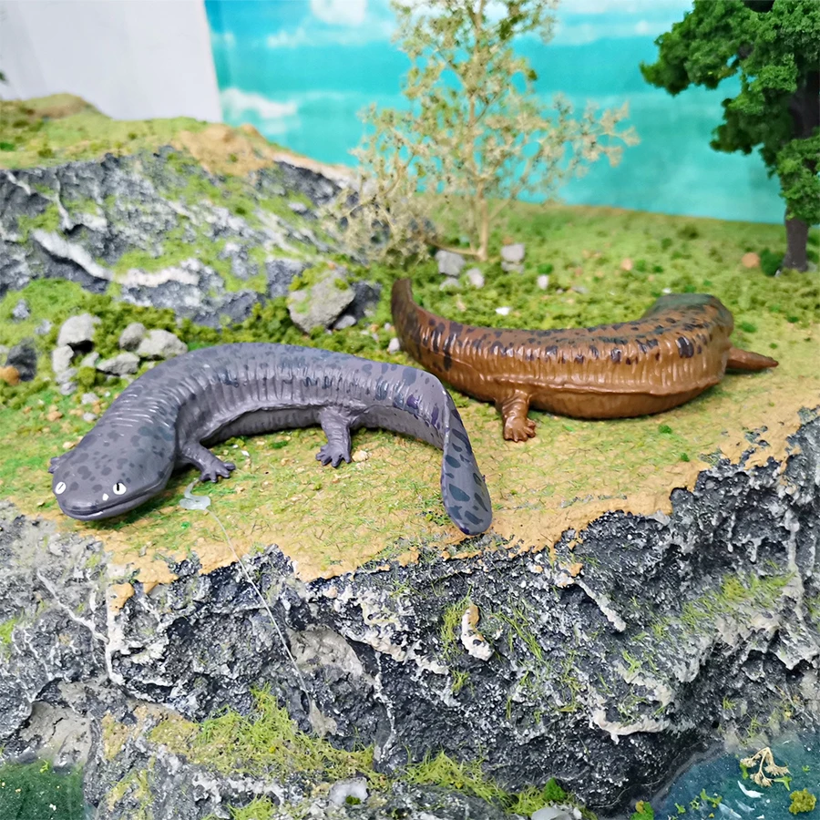 リアルな野生爬虫類動物のおもちゃ サラマンダー クリプトブランチョイデア アホロートル モデル フィギュア コレクション 教育玩具 子供向け