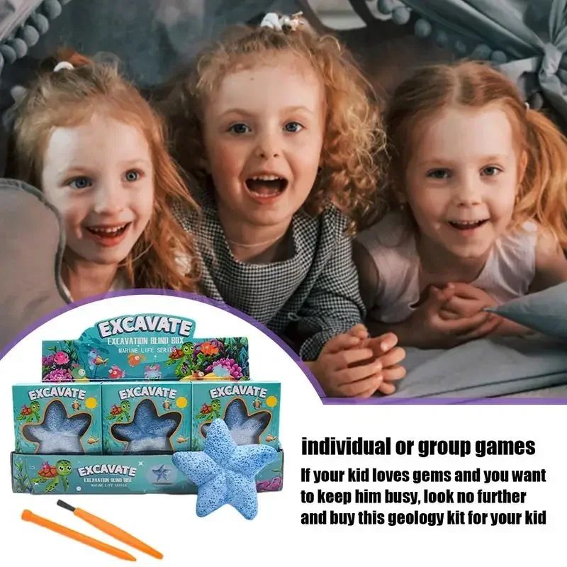Archaeological excavation puzzle toy starfish marine life dinosaur fossil gemstone excavation kit includes 12 real gemstones