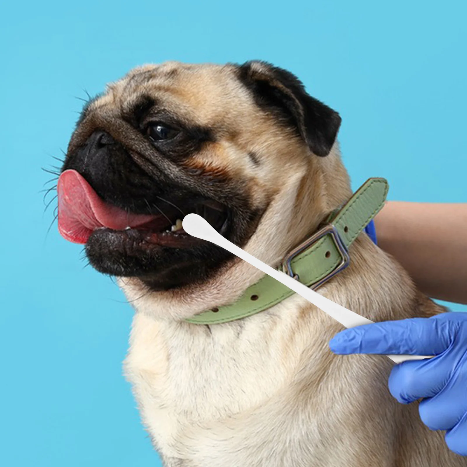 

Pet Toothbrush Dog Soft Bristle Ergonomic Handle Oral Care Teeth Cleaning Brush for Puppies Small Dogs Portable Dog Toothbrush
