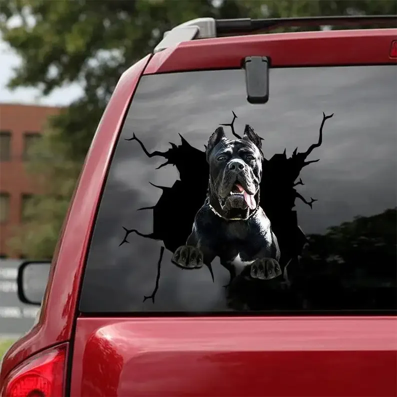 

Cane Corso Decal- fits cars, Laptops and any smooth surface, Cane Corso Stickers,Car decoration,Custom Cane Corso Sticker, Dog D