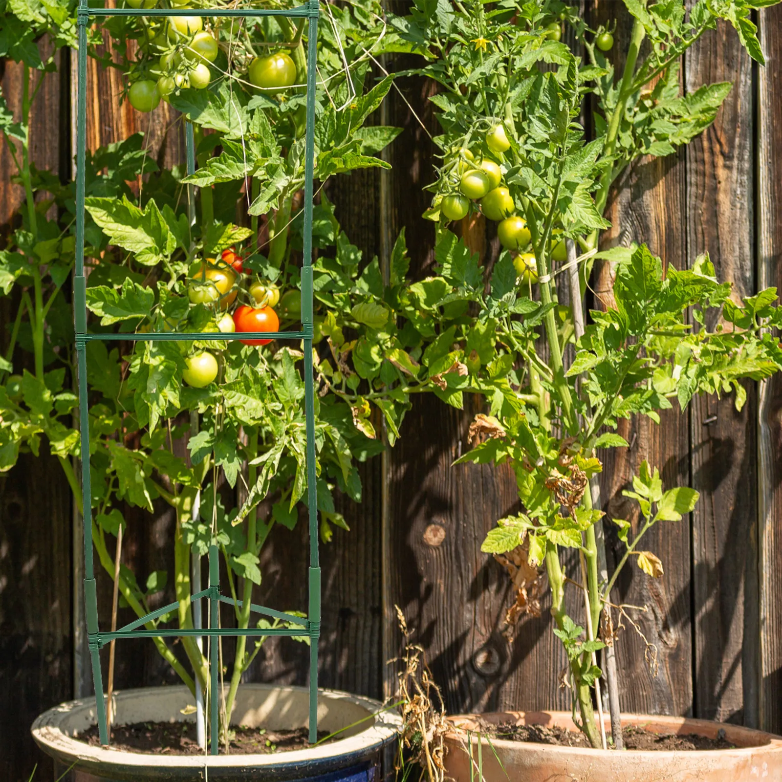 

Heavy Duty Metal Plant Trellis for Climbing Vegetables and Flowers Outdoor Garden Support Frame Tall Tomato Cage for Pots and