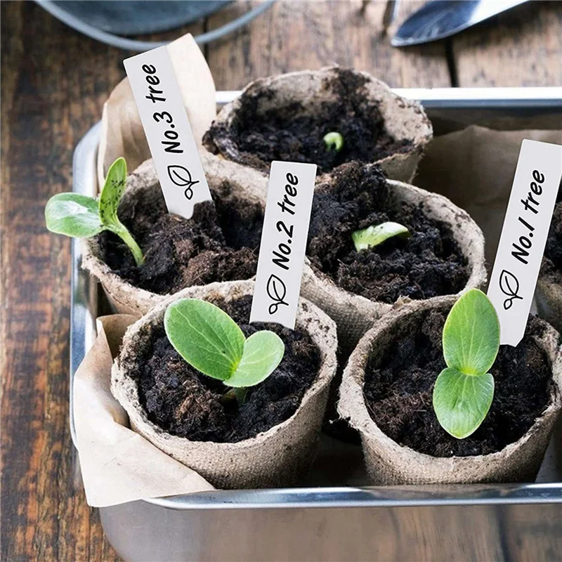 WORTHOWN-600 Uds. Etiquetas de plástico para plantas, vivero, jardín, estaca de jardín, blanco, 10x2cm