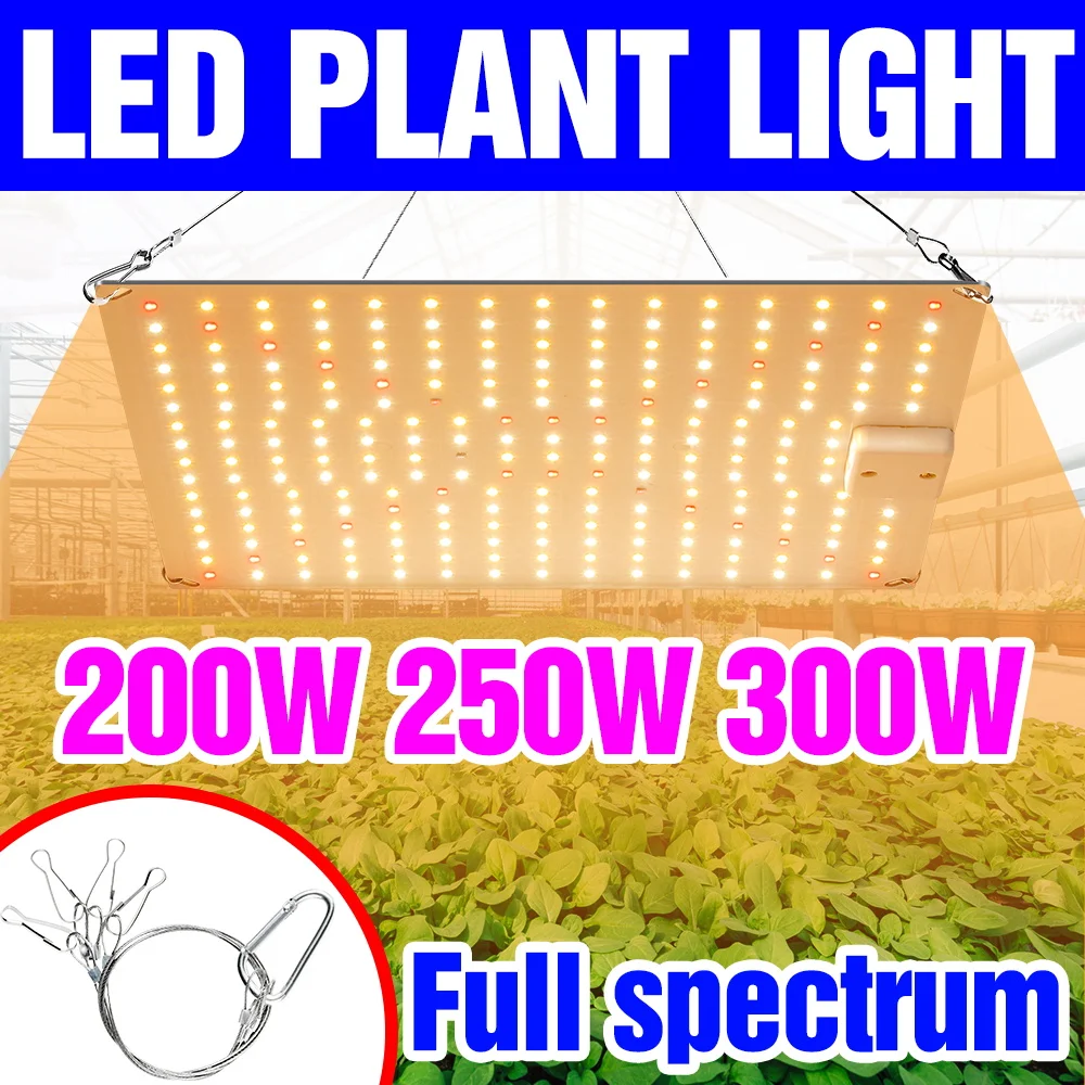 

Светодиодная лампа для растений 300 Вт, полный спектр, квантовая панель, УФ/ИК, для теплиц, фруктов, суккулентов, гидропоники