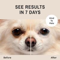 Dog Tear Stain Remover 20g Fast-Acting Cleaner Powder For Pets Eyes Apply Around Eyes To Absorb Pet Eye Tears For Pet Shelter