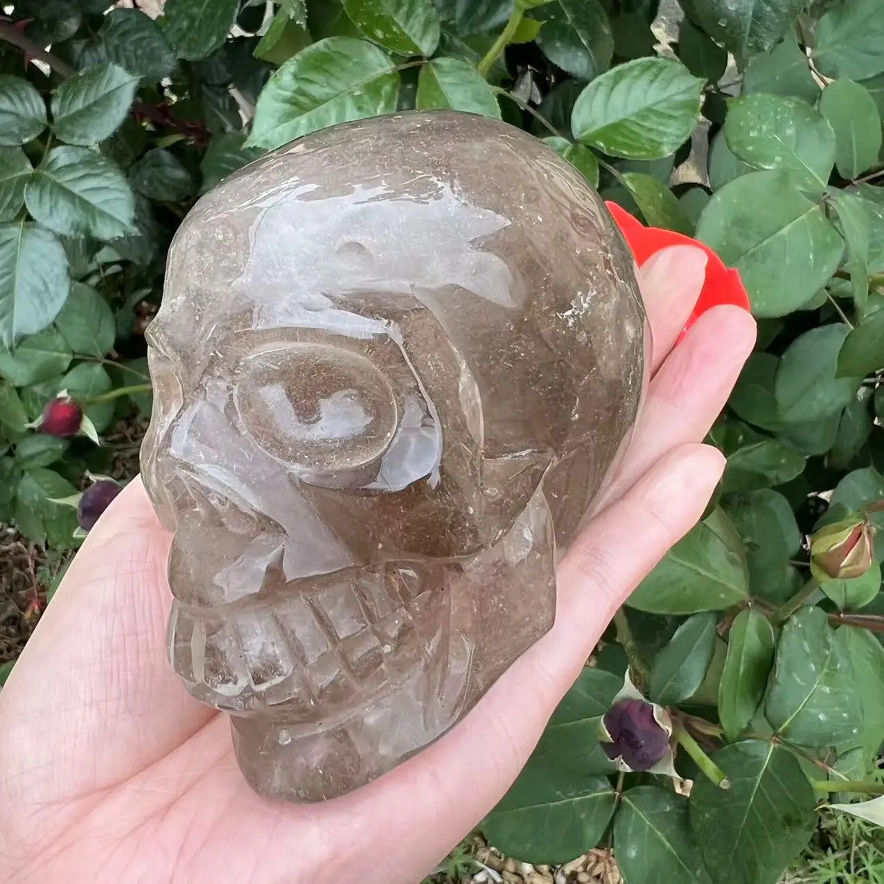 

800-1000g Natural Polished Clear Smoke Quartz Crystal Skull healing