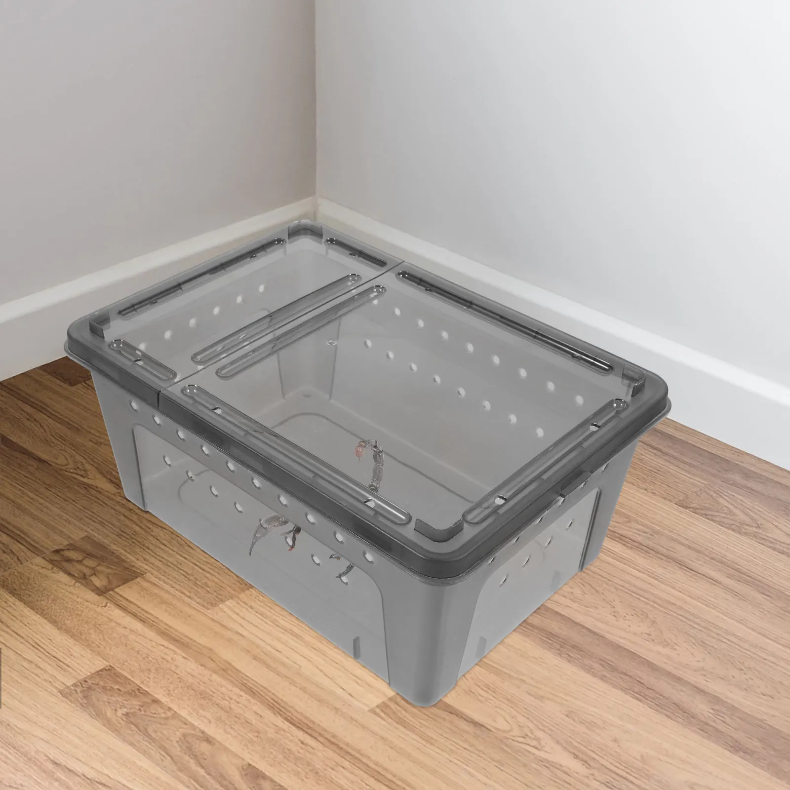 

Spider Terrarium Reptile Feeding Box Black Small Animal Habitat Case Pet Container Durability Plastic lizard tank gecko