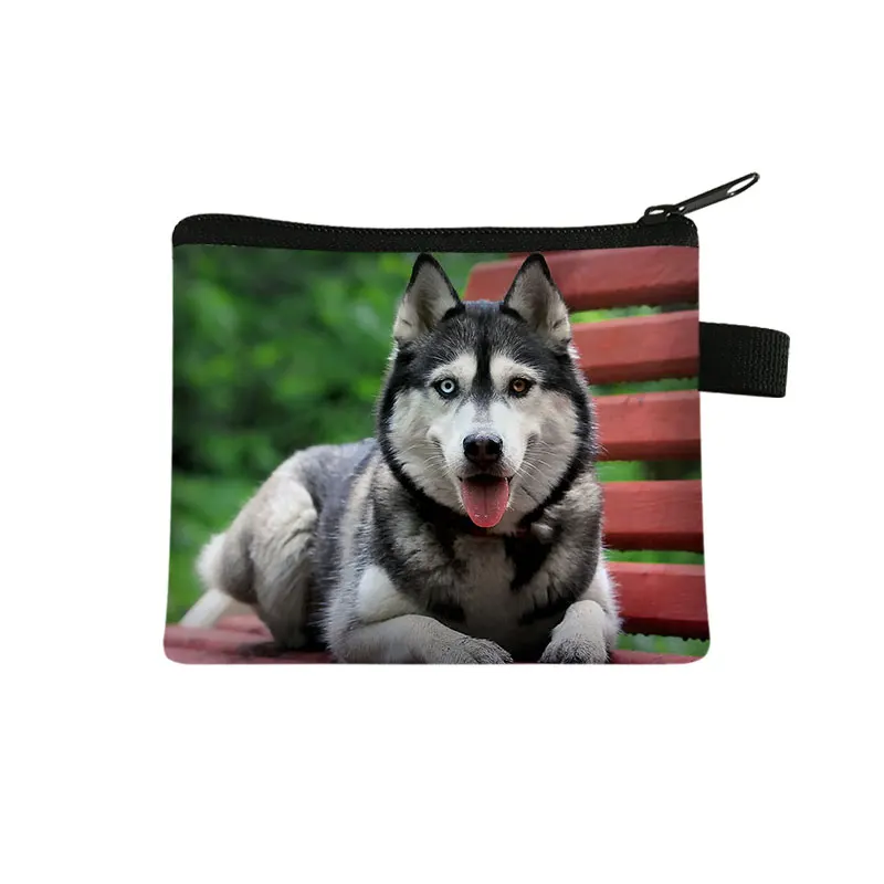 Bolsa de moedas com estampa animal para senhoras, porta-moedas, carteira de cartão de crédito, pastor alemão, husky, menina, menino, senhoras, bolsa