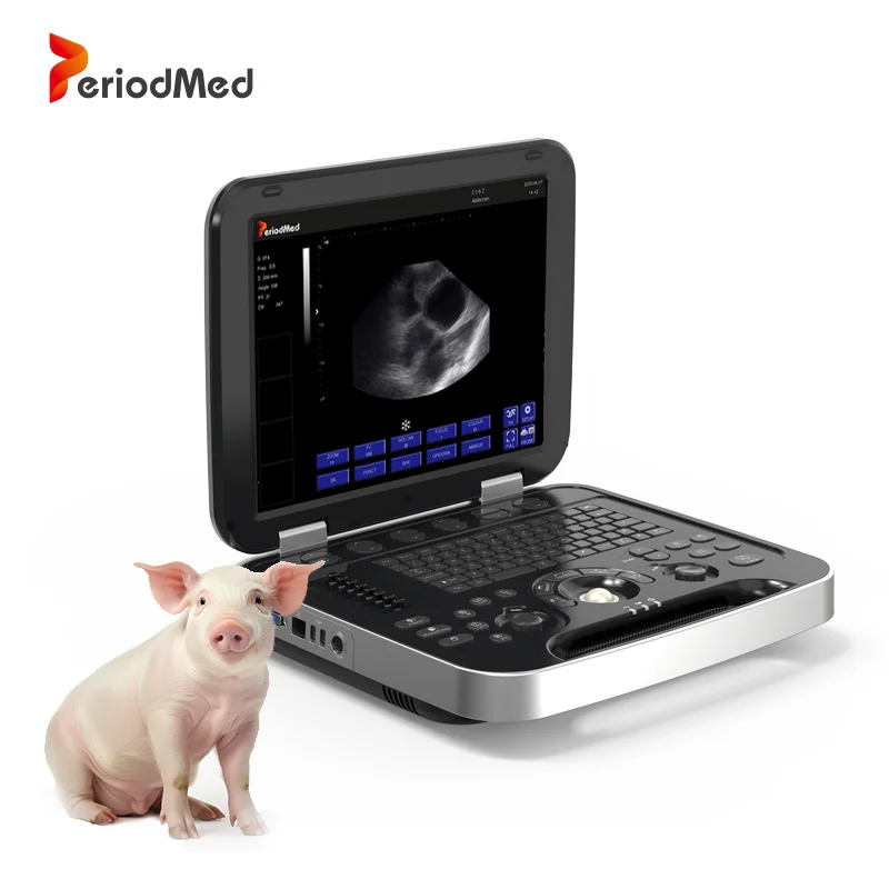 For Medical Doppler Color Laptop Portable Veterinary Ultrasound Scanner 15