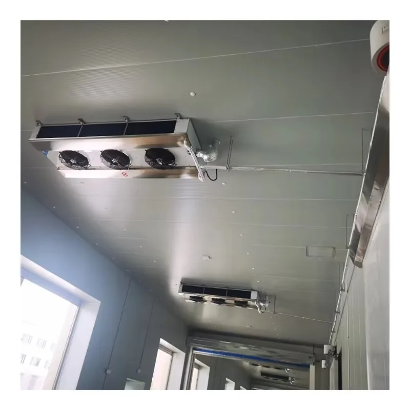 Small Medium Large Size Cold Storage Room Cool Refrigeration Freezer Room
