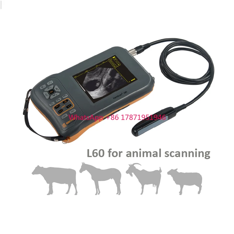 Farmscan L60 Handheld Portable Cattle Equine Sheep Pig handheld veterinary ultrasound machine