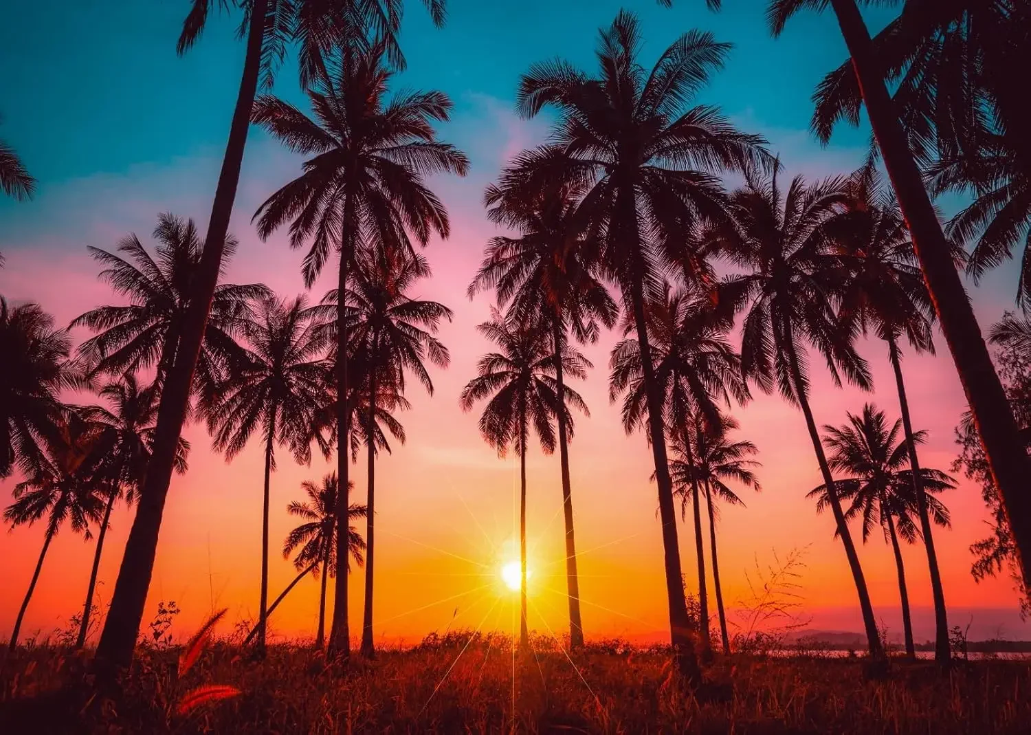 

Sunset Beach Backdrop Tropical Seaside Coconut Palm Trees Summer Hawaii Luau Party photo background photography backdrop