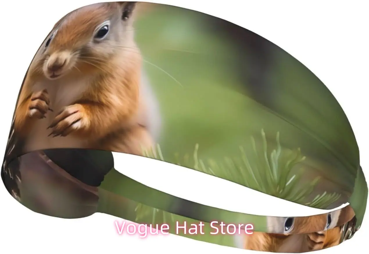 

Elastic Exercise Headband - Soft and Breathable Headband for Running, Cycling, Yoga, and More Squirrel Holding a Pinecone Pictur