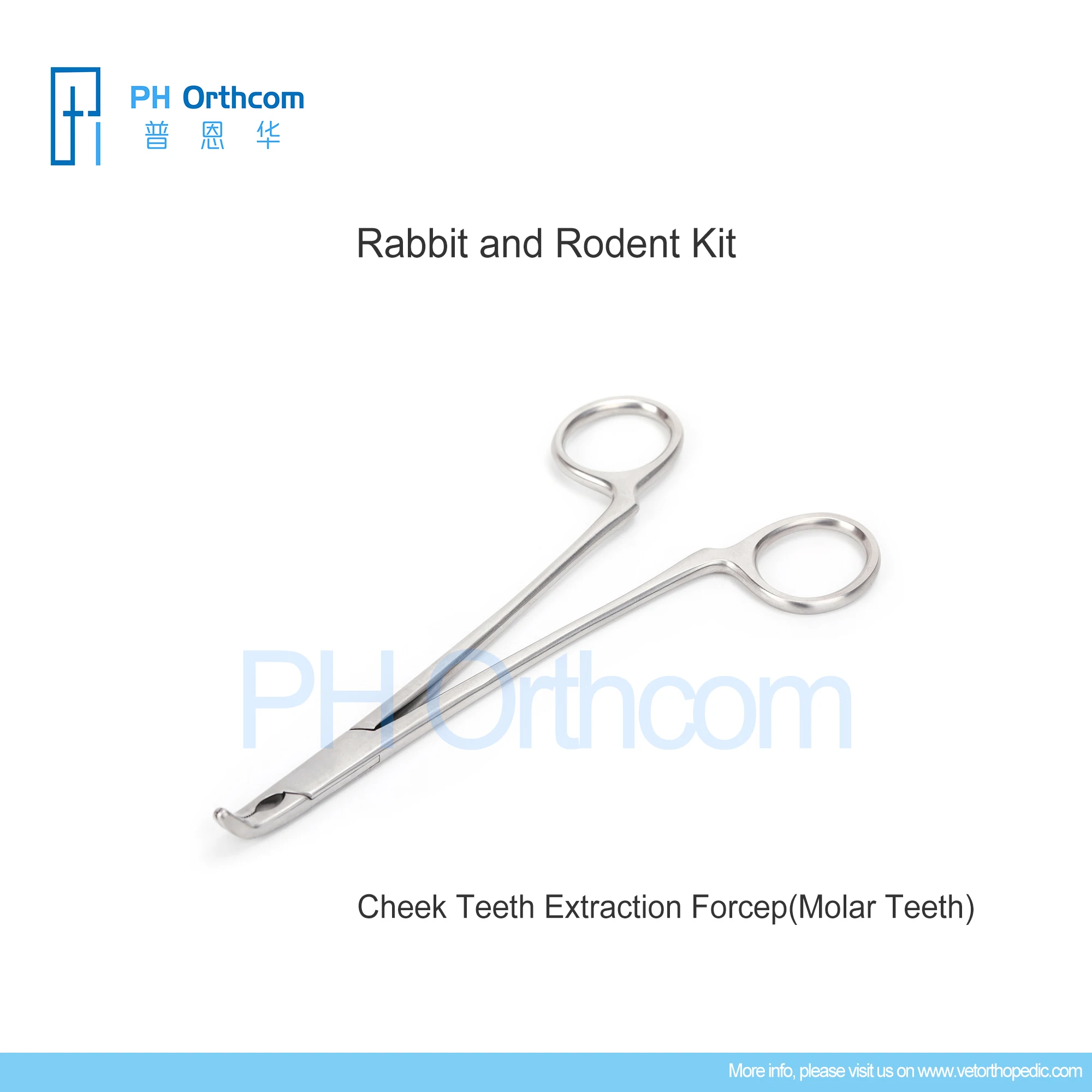 Rodent Dental Instruments Set Rabbit and Rodent Tools Kit Veterinary Medical Supplies and Equipment Surgical Instruments Tools