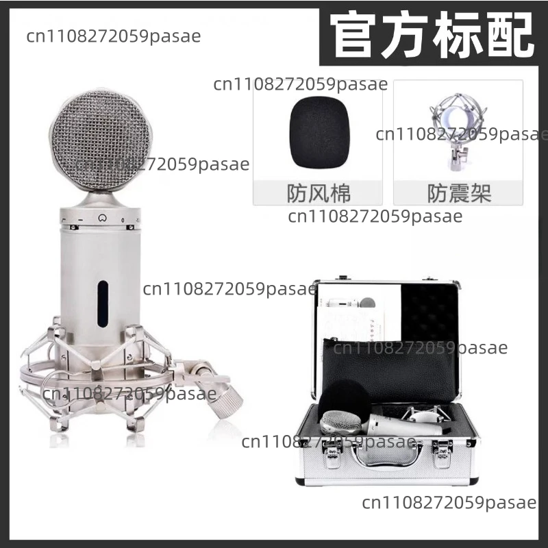 BM-5000 Large Diaphragm Condenser Microphone Set High-end Recording Karaoke bm5000 Microphone Wired