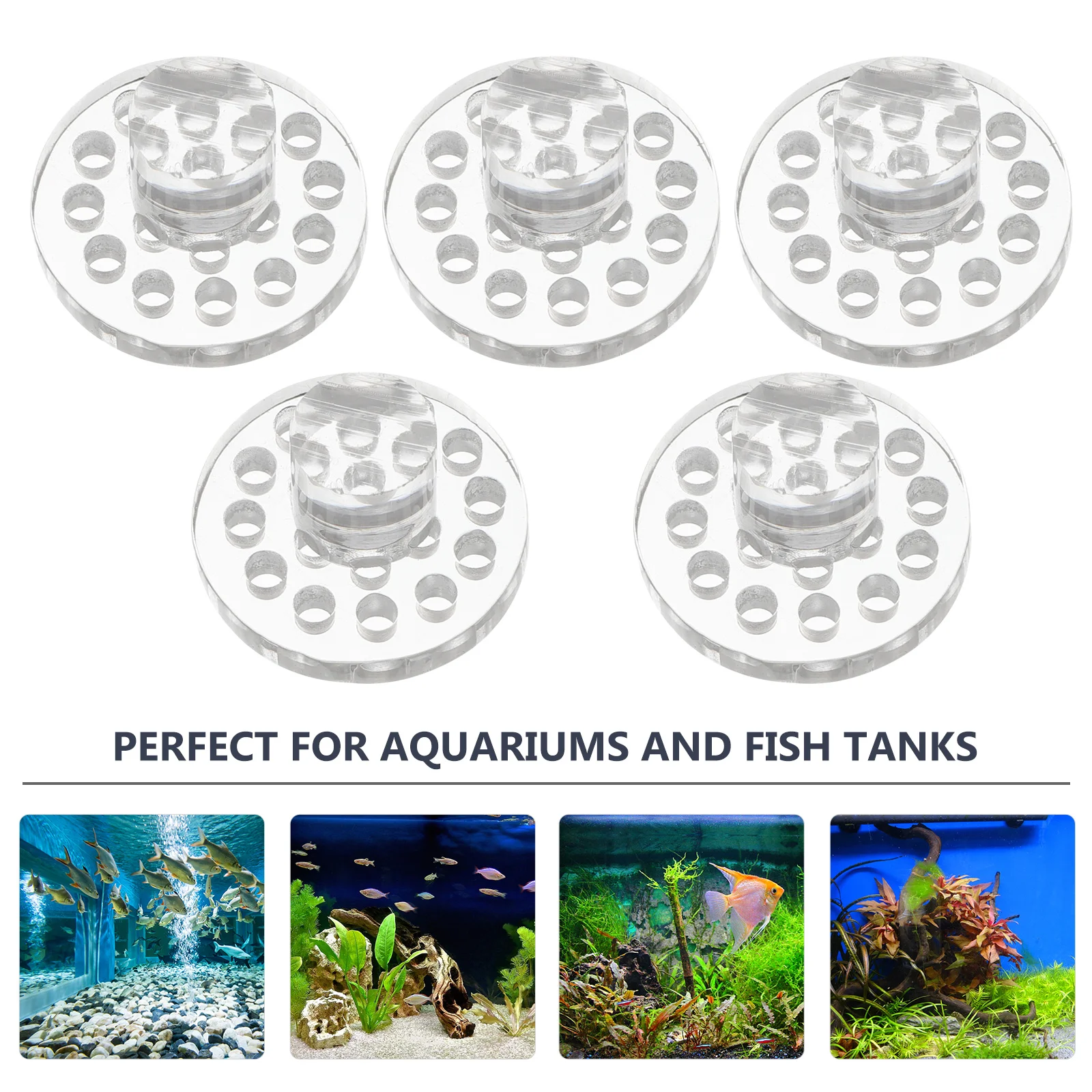 

5pcs Coral Rack Acrylic Holder Base Plug for Aquarium Reef Coral Bracket Suitable Growth Reproduction Pet Supplies Decor