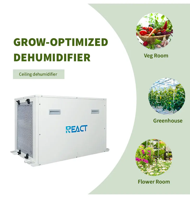 150Pints Commercial Dehumidifier Greenhouse Dehumidifier Grow Room Dehumidifier Industrial Dryer view 4