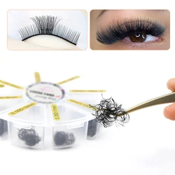 AGUUD volume 3D 5D 6D 10D loose premade fans sharp pointy stem lash bulk cluster promade loose fan pointy base eyelash extension