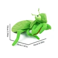 mantis