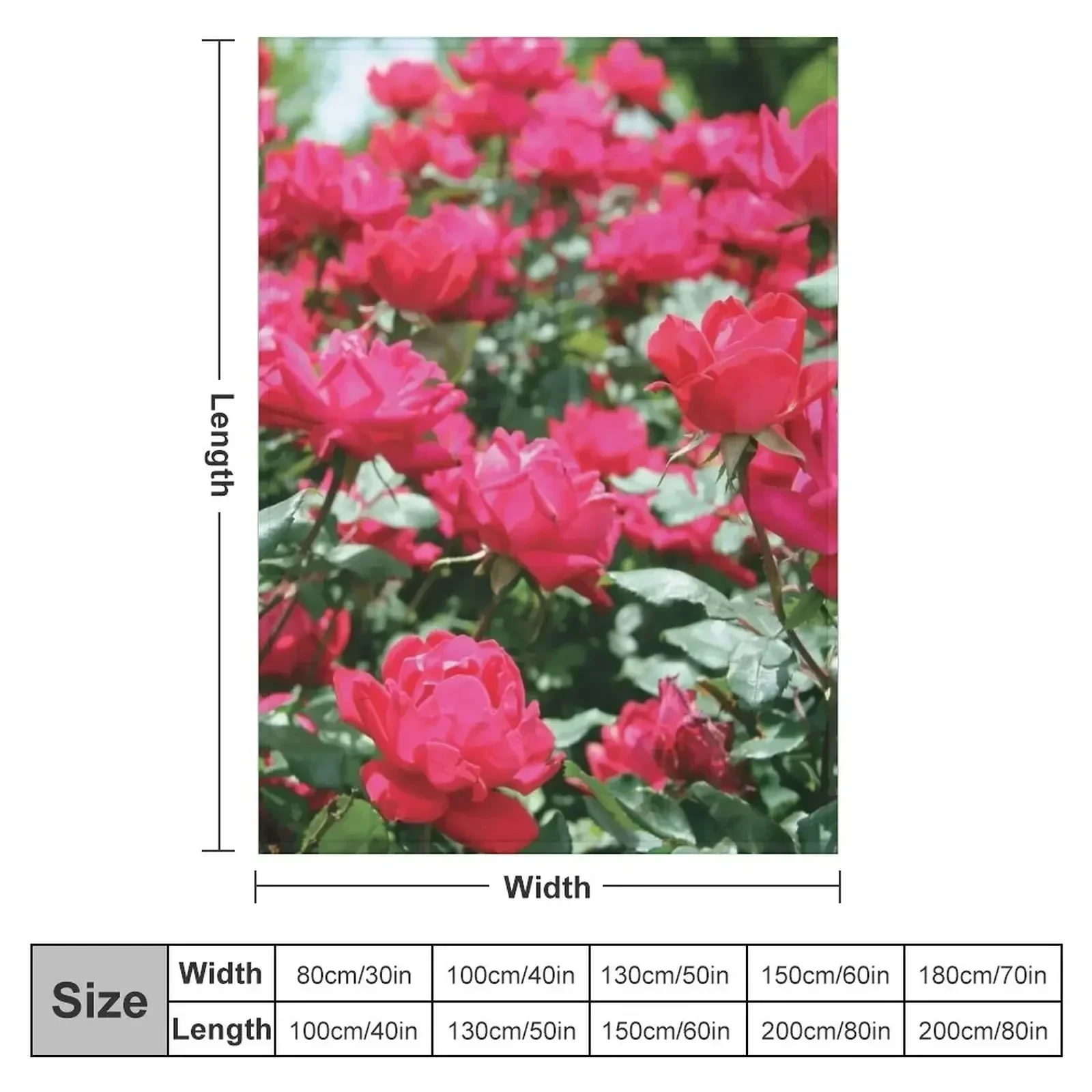 Bold and Beautiful Rose Bush Throw Blanket Kid'S halloween Luxury Thicken Heavy Blankets