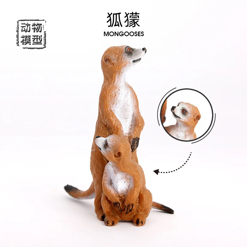 Cross-border simulation wildlife model standing meerkat marsh tanuki meerkat children cognitive static solid ornament toy