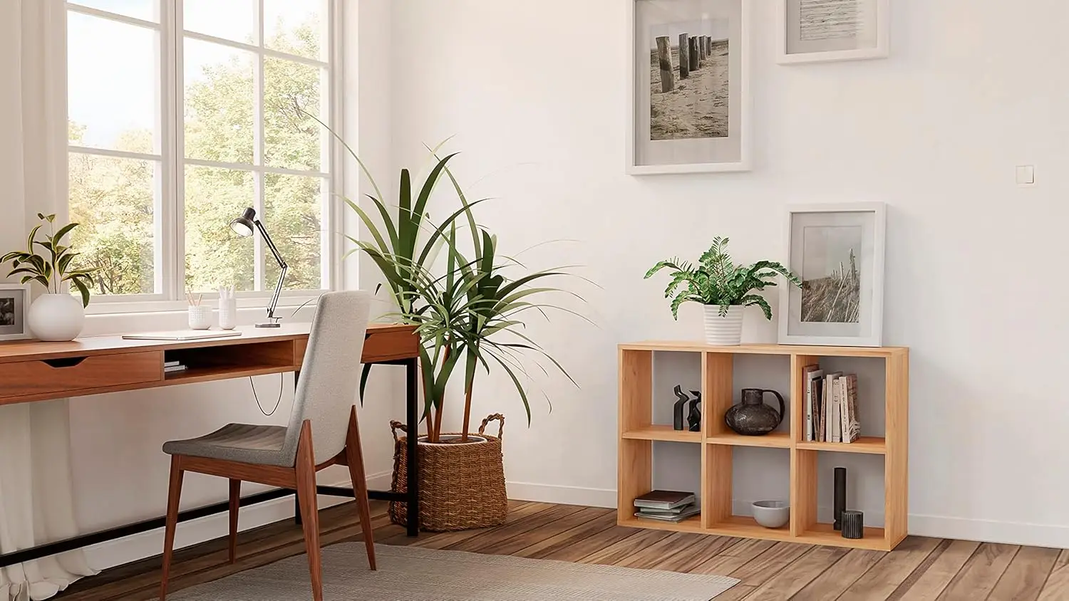 سونوما 2x3 - ريجال وورفيل ميت 6 فاشيرن - راومتييلر ريجال 100 × 67,4 سم - Bücherregal Voor Wohnzimmerund Büro